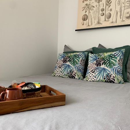Le Petit Bali - Studio - Wifi - Parking - Coeur De Ville Pont-lʼAbbé Dış mekan fotoğraf