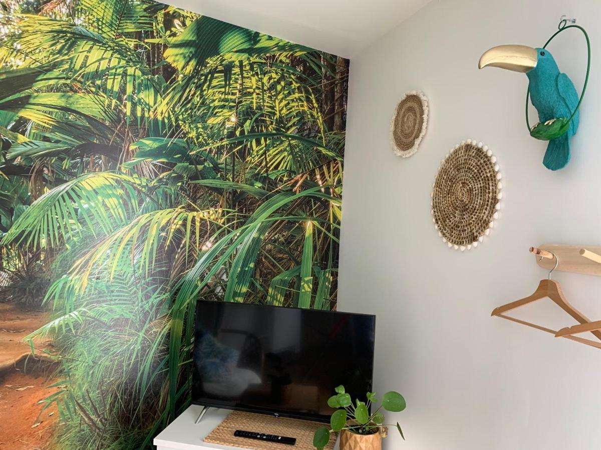 Le Petit Bali - Studio - Wifi - Parking - Coeur De Ville Pont-lʼAbbé Dış mekan fotoğraf