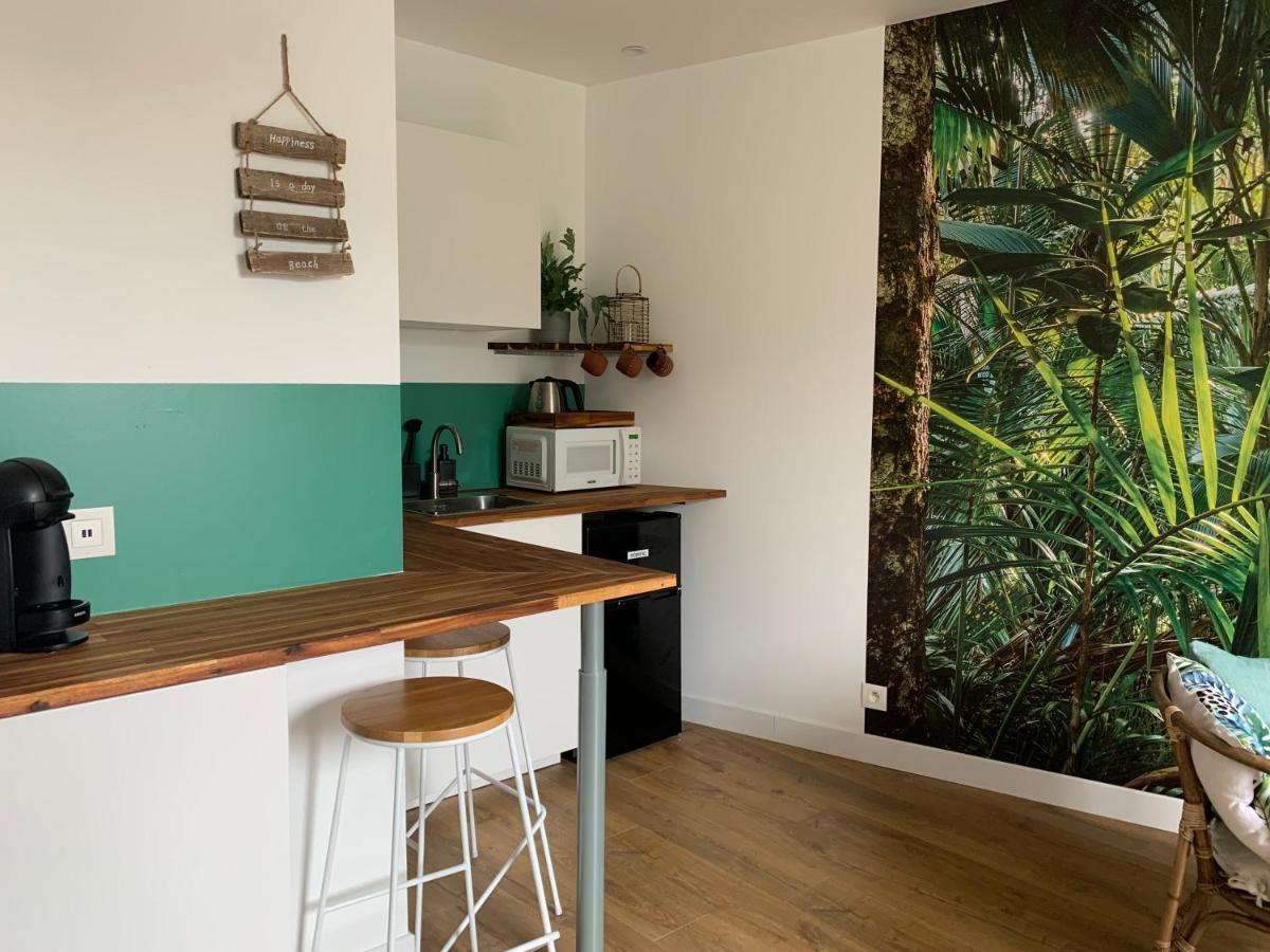 Le Petit Bali - Studio - Wifi - Parking - Coeur De Ville Pont-lʼAbbé Dış mekan fotoğraf