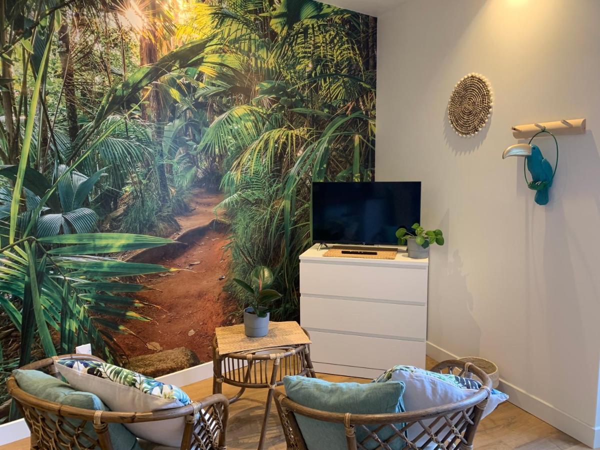 Le Petit Bali - Studio - Wifi - Parking - Coeur De Ville Pont-lʼAbbé Dış mekan fotoğraf