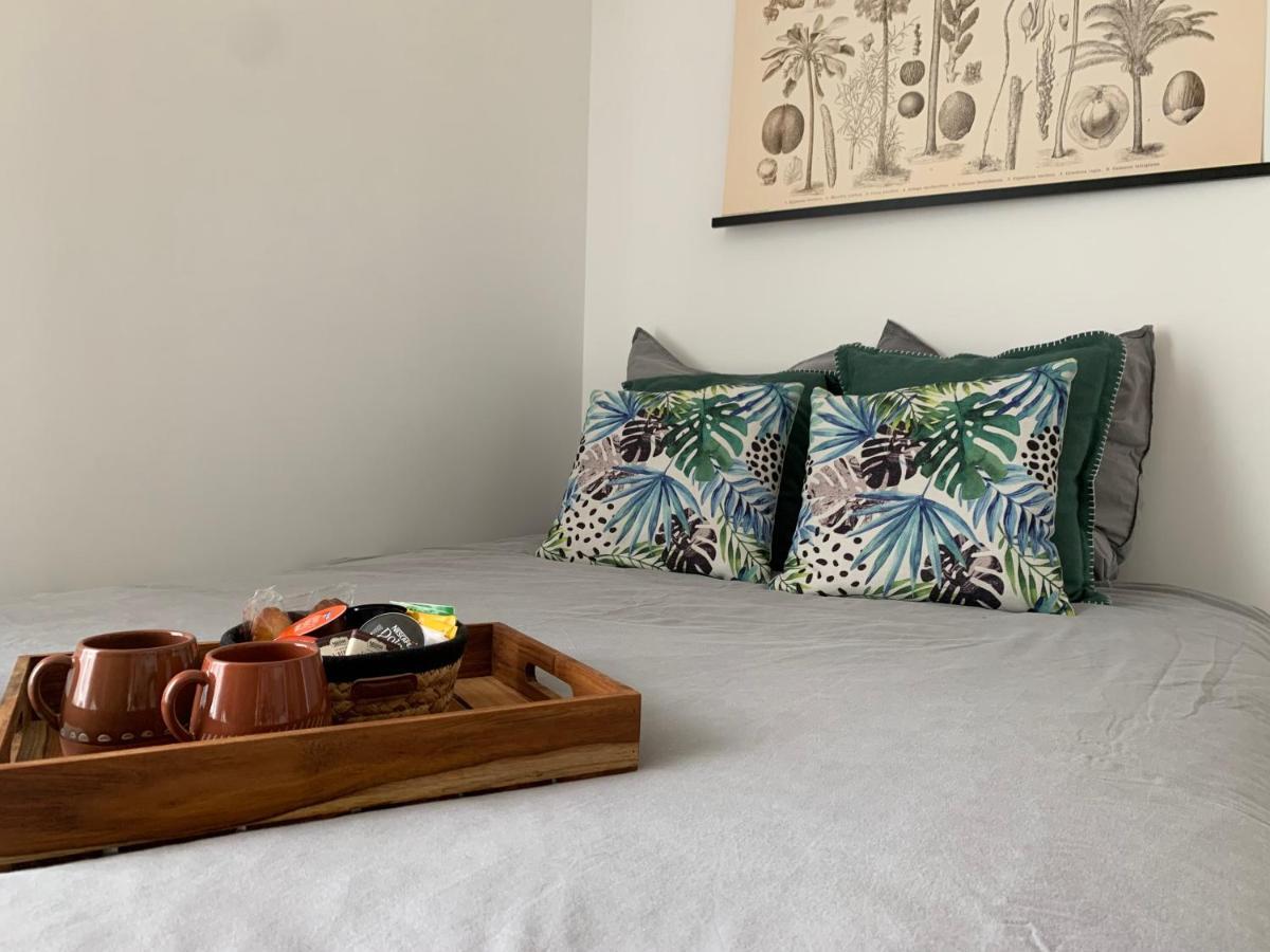 Le Petit Bali - Studio - Wifi - Parking - Coeur De Ville Pont-lʼAbbé Dış mekan fotoğraf
